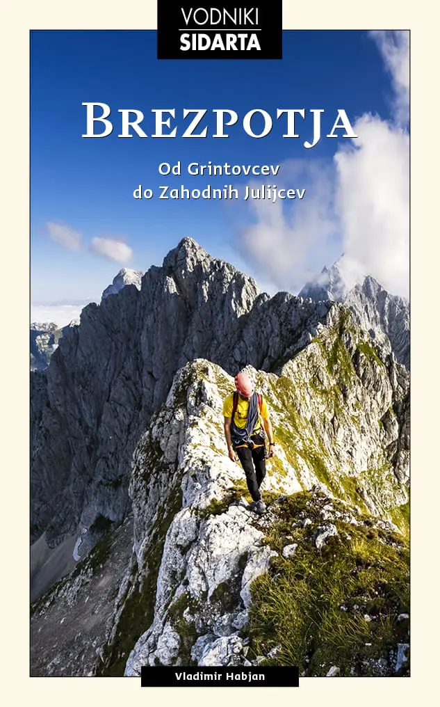 naslovnicaKnjigeSid7