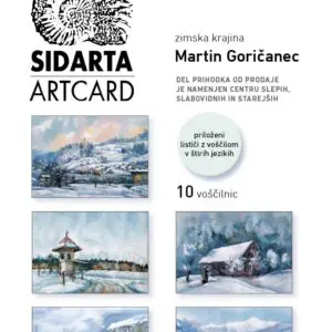 Martin Goričanec K222