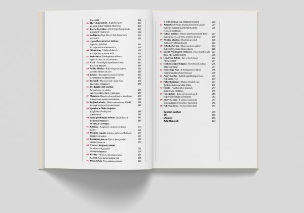Mockups Design